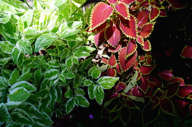 india2015 meherazad13