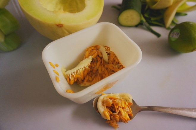 honeydew green smoothie7