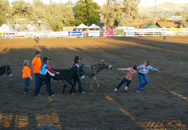 the dalles oregon rodeo29