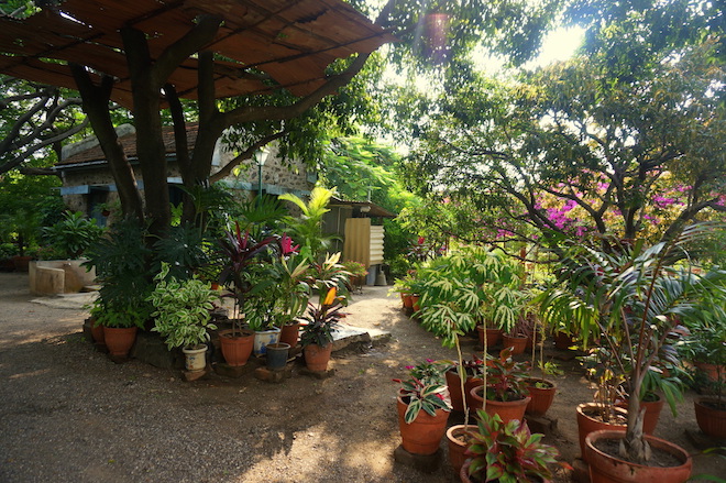 india2015 meherazad10