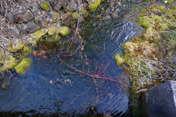 crimson-trail-logancanyon-utah63