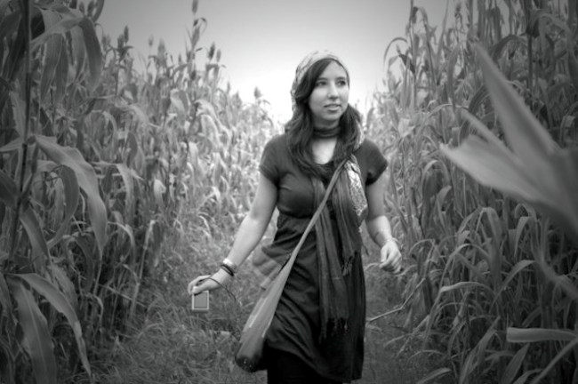 king ahmed tomb india me