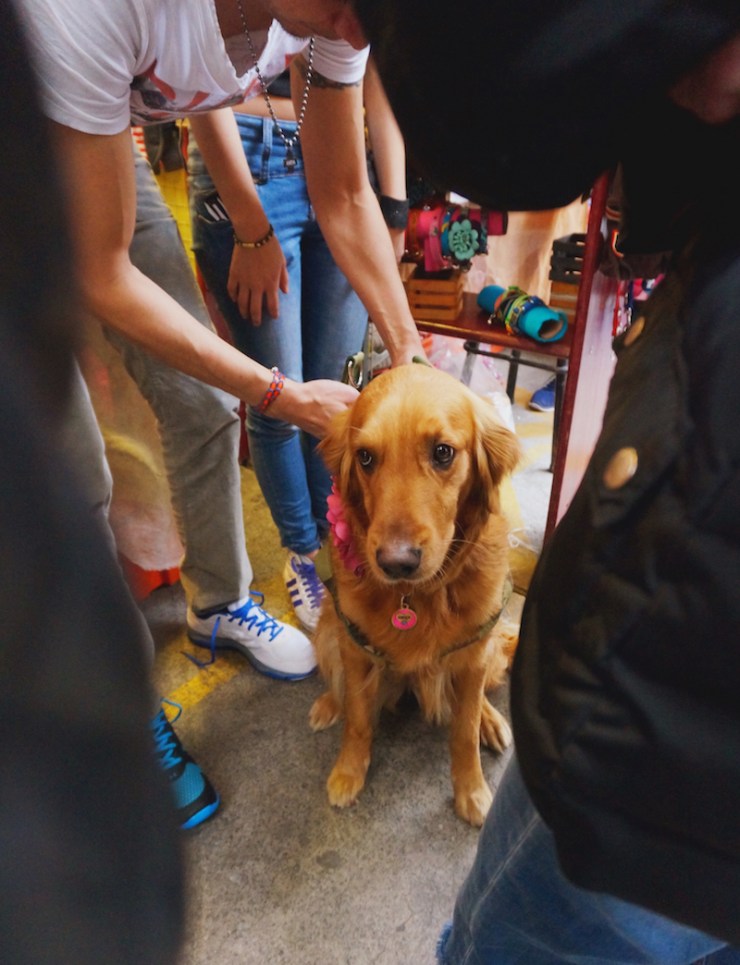 mexico city roma mercado1