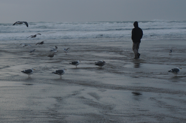 cannon beach oregon winter
