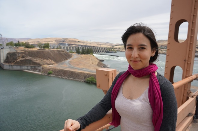 the dalles or bridge dam13 me