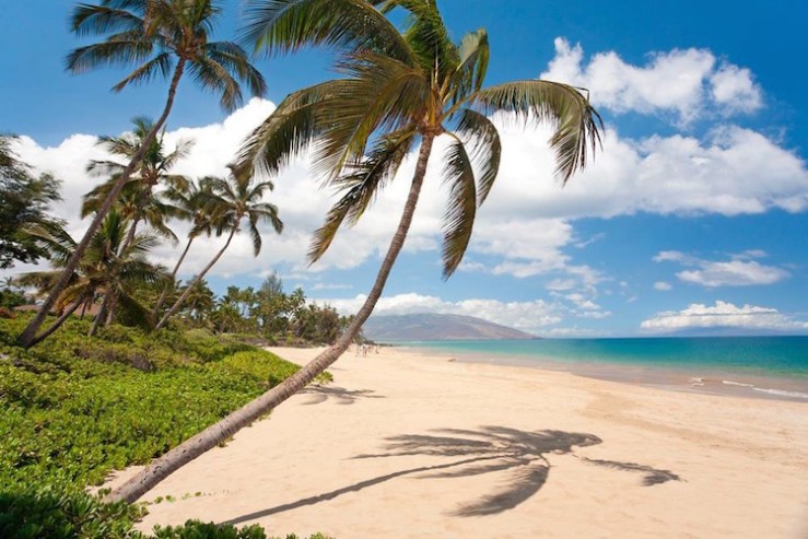 Top 8 Destinations For Fishing In Hawaii