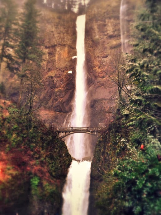 multnomah falls14