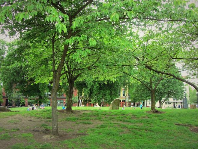 portland saturday market8