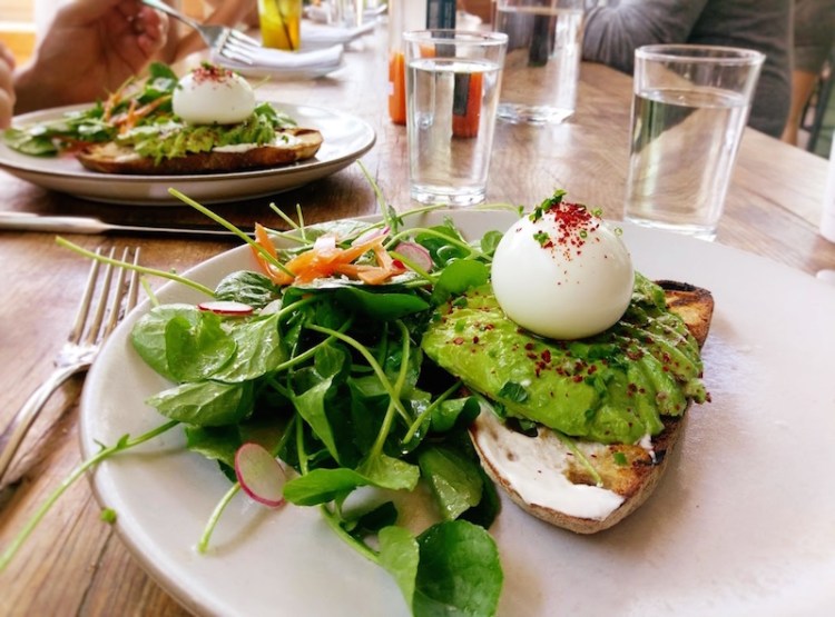 avocado toast