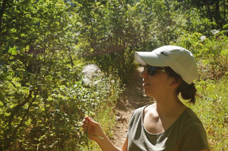 Jardine Juniper Trail in Logan Canyon, Utah
