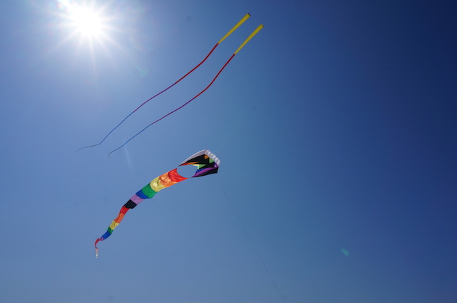 Long Beach, Washington kites