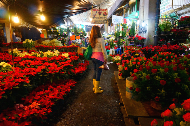 mercado de jamaica mexico20 copy