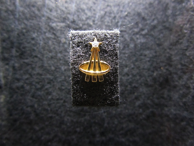 "Carrying the Fire" pin