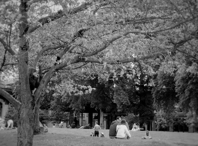 portland downtown park bw
