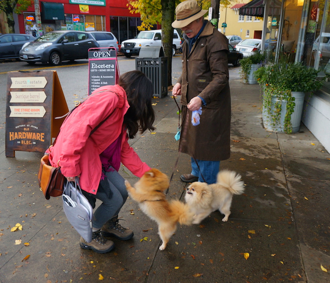 portland st johns dogs