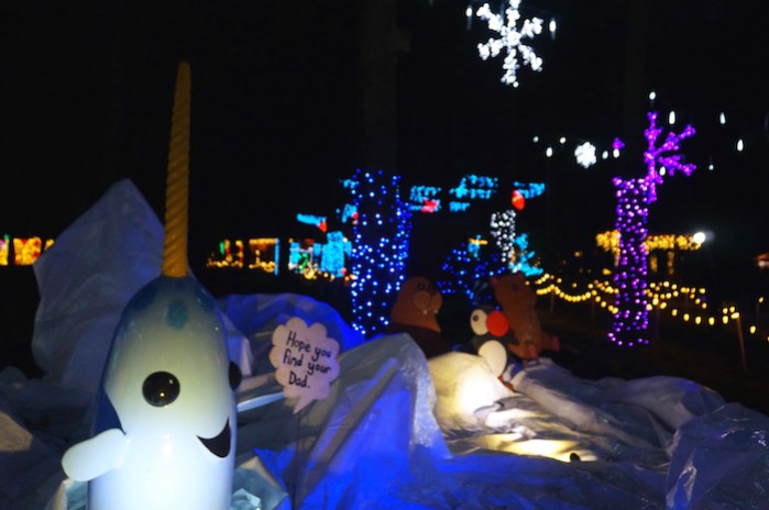 oregon garden christmas12