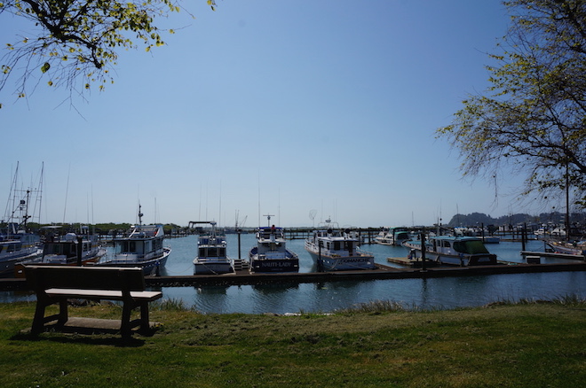 Saturday Market Port of Ilwaco