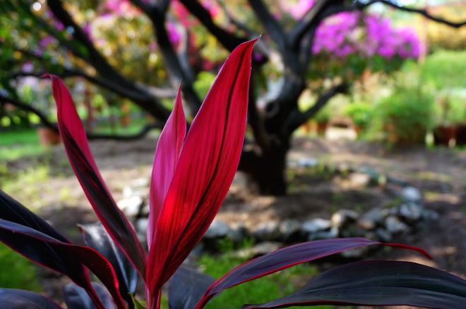 india2015 meherazad13