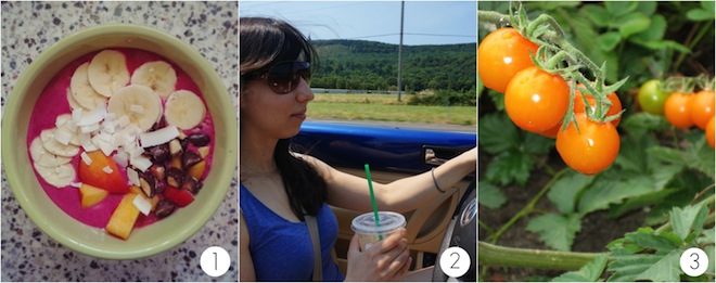 happy collageaug.jpg