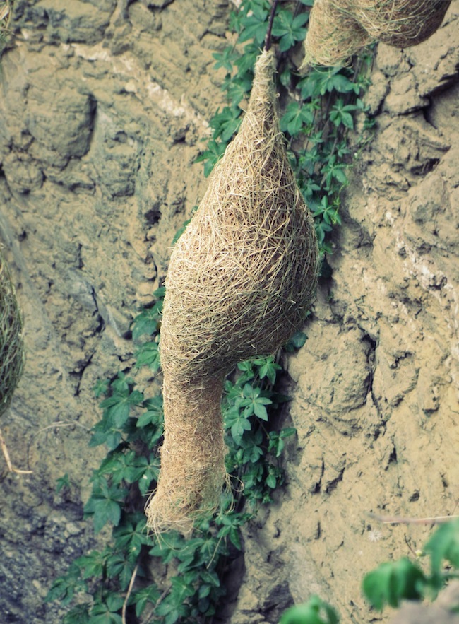 open well pendant nest