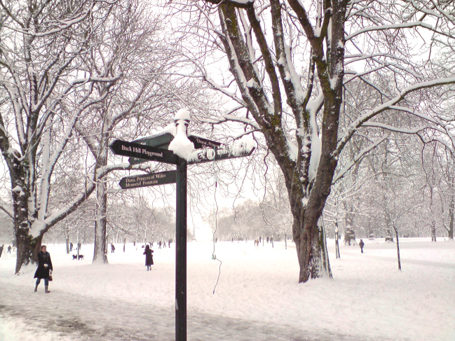 Hyde Park during winter