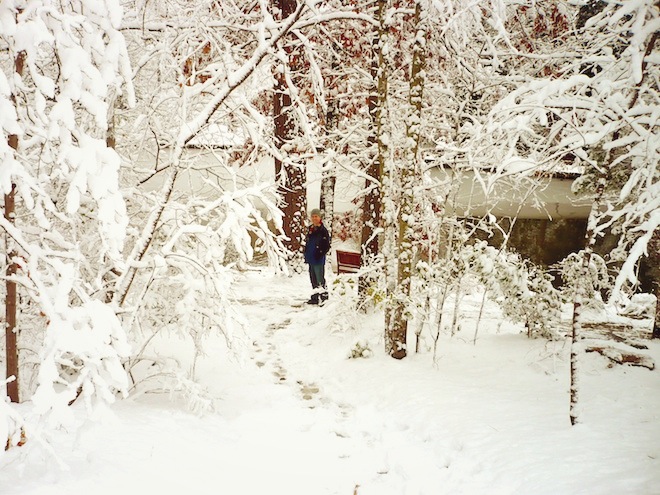 duke gardens durham snow8
