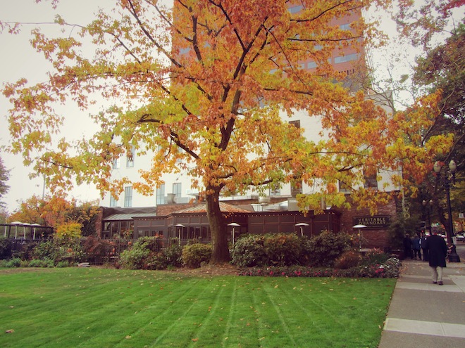 The Veritable Quandary from a distance