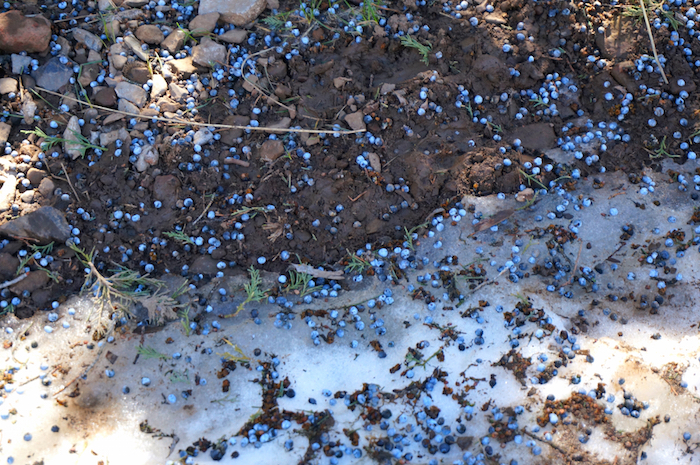 wind cave trail utah6