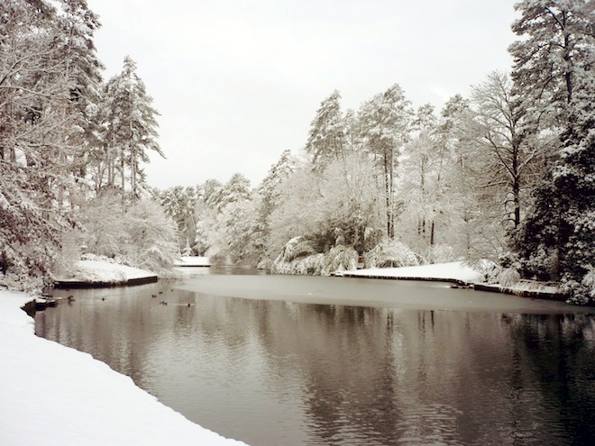 duke gardens durham snow9