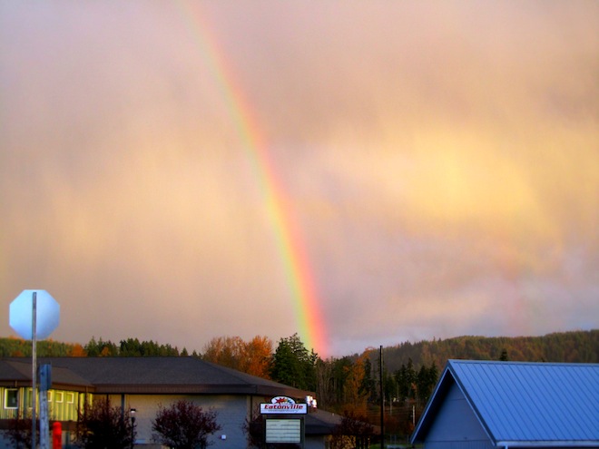 rainbowwashington