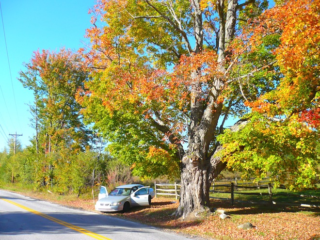 laconia new hampshire6