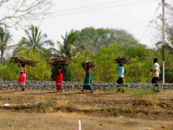 india street farmers
