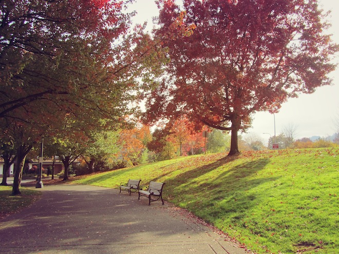 portland waterfront8