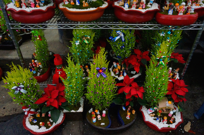 mercado de jamaica mexico14