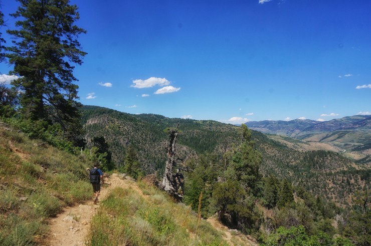 Jardine Juniper Trail in Logan Canyon, Utah