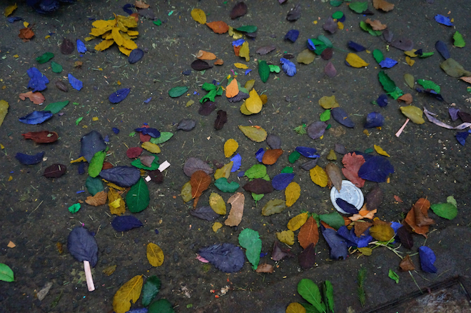 mercado de jamaica mexico13