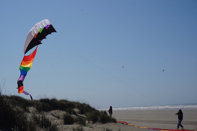 Long Beach, Washington kites